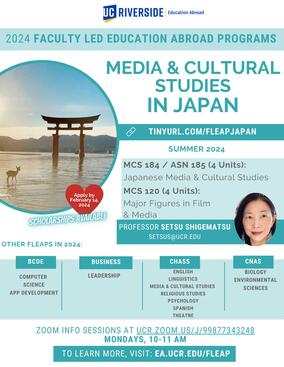 Media & Cultural Studies in Japan